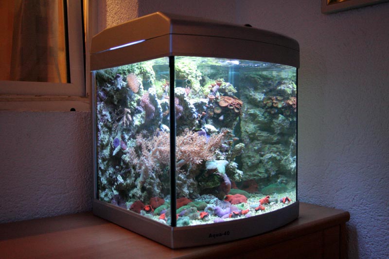 Nano Meerwasseraquarium